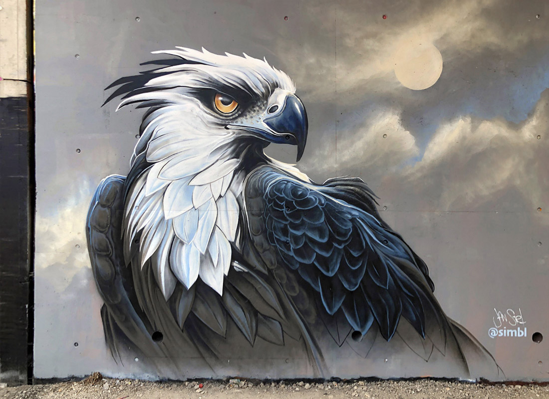 Jan Stel simbl, street-art, graffiti, mural