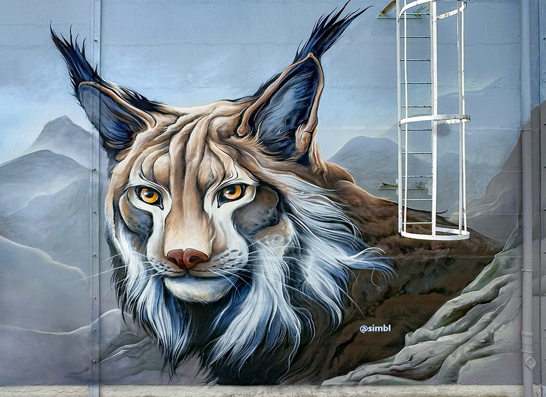 Jan Stel simbl, street-art, graffiti, mural